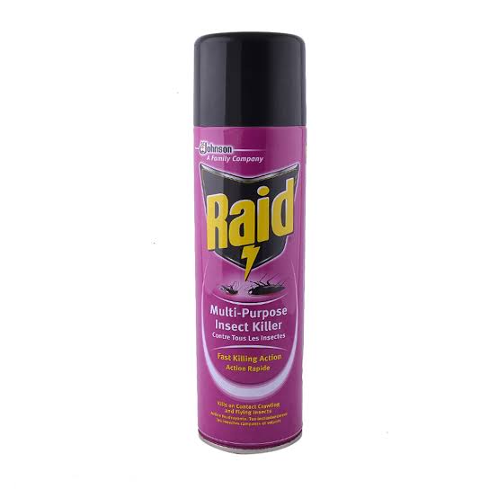 Raid Insecticide 500ml - Makdwn 